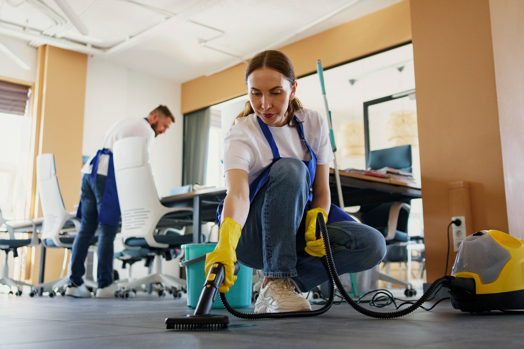 Cleaning Professional